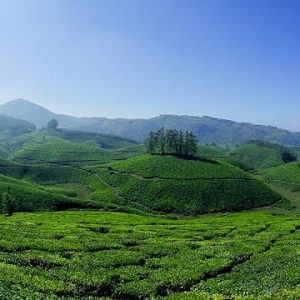 munnar