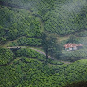 dream-holidays-Jqc2nOH3u3Y-unsplash-min