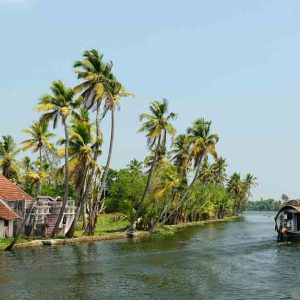 India, Coco trees reflection and beautifoull house boat at back waters of Kerala